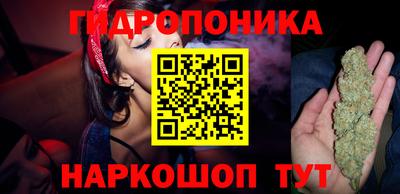 дживик Донецк