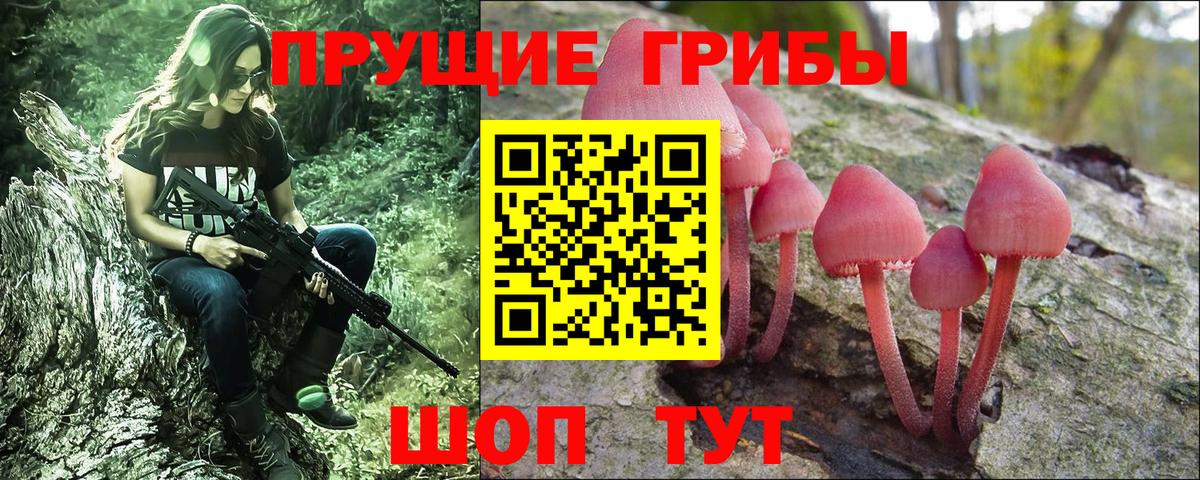 Галлюциногенные грибы GOLDEN TEACHER  Вход с VPN  Псилоцибиновые грибы Psilocybine cubensis  Нижний Новгород 